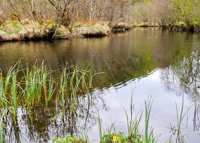 4 Person In I Sogn Лейрвик