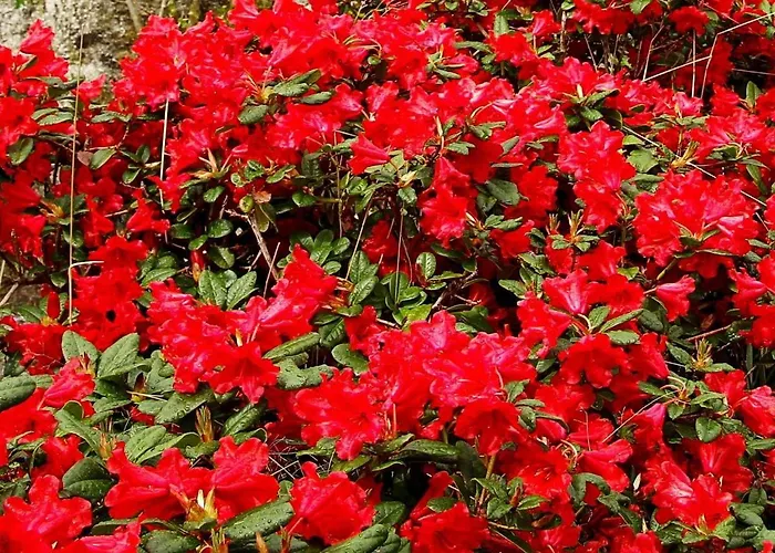 4 Person In I Sogn בית נופש Leirvik (Sogn og Fjordane)